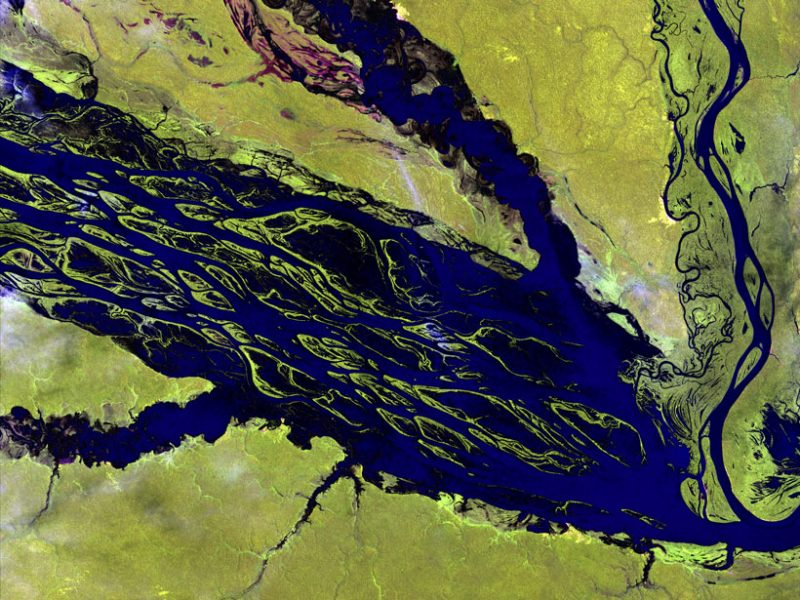 海平面上升增加了河口的甲烷排放