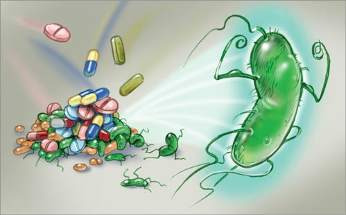 识别抗菌耐药细菌及其工作原理的新方法