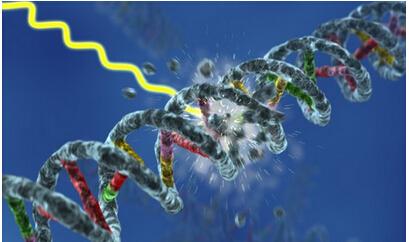 分子传感器侦察DNA损伤并监督修复