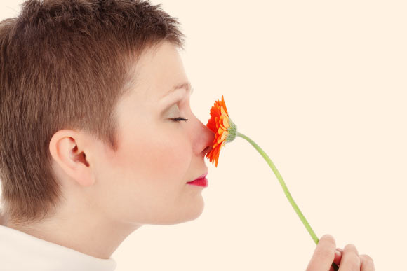 鼻子呼吸可以改​​善经验向长期记忆的转移