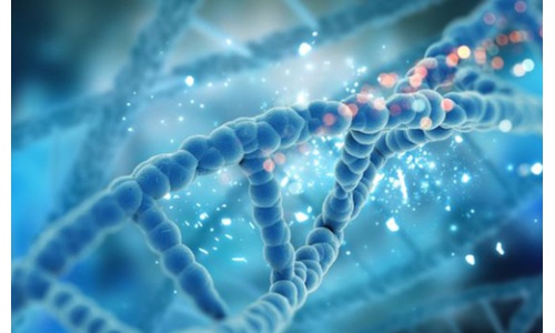 全基因组测序可以为官员提供跟踪疾病爆发的有力武器