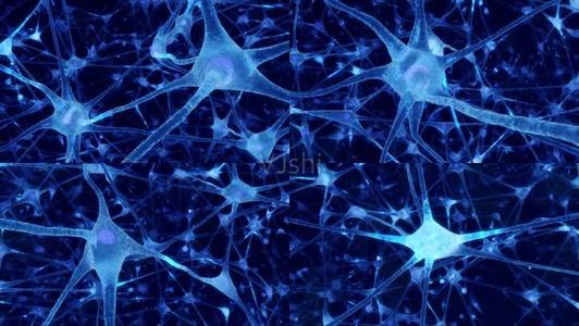 研究发现神经元网络中隐藏的动态