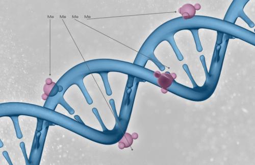 科学家们发现可能影响癌症结果的新的遗传相互作用