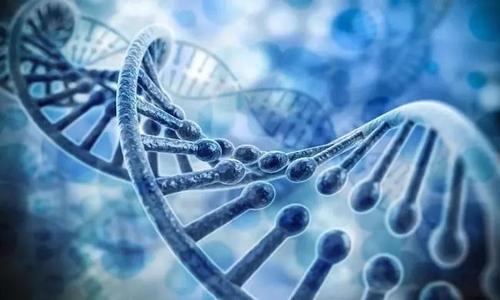 科学家开发出具有成本效益且更快的DNA测试方法