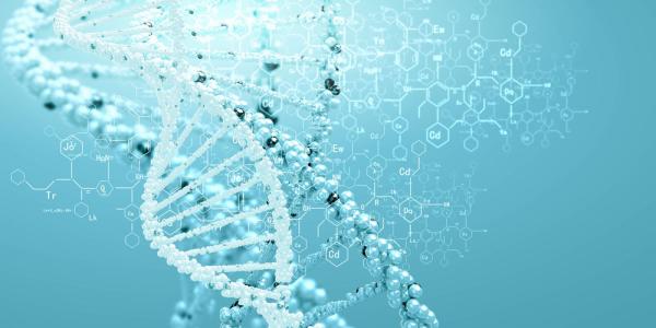 Cas9是DNA扩增中的新生儿