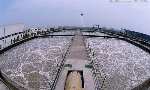 污水调查有助于完成抗药性难题