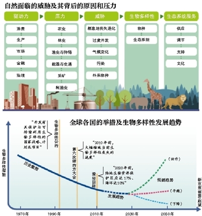 1970年到2014年野生动物种群数量消亡了60%