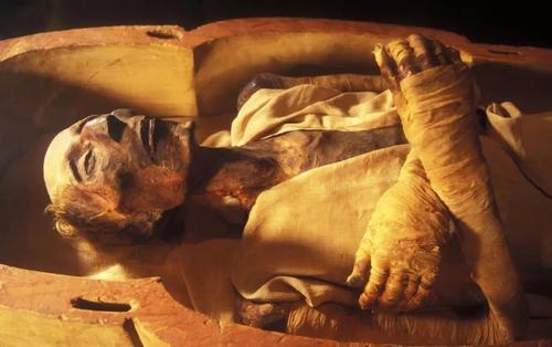 埃及木乃伊揭示的持久防腐食谱