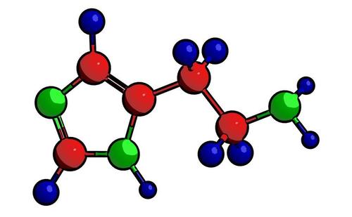 快速进化其分子机制的新发现