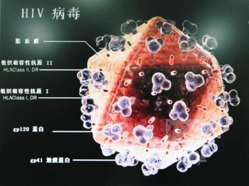 科学家通过对53岁组织进行测序来确认HIV理论