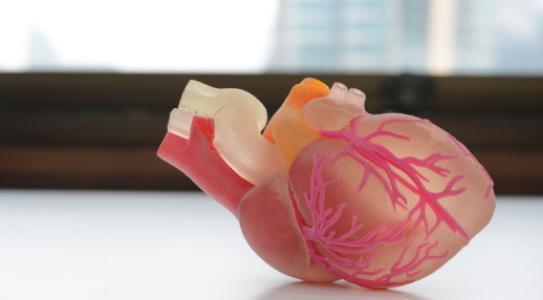 为我们破碎的心脏3D打印新零件