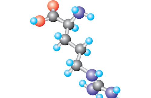 用Immuno-SABER照亮蛋白质