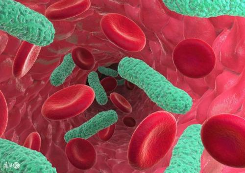 研究人员发现了一种新的方法来阻止因败血症