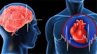 心房颤动发现心房损伤的新标志物