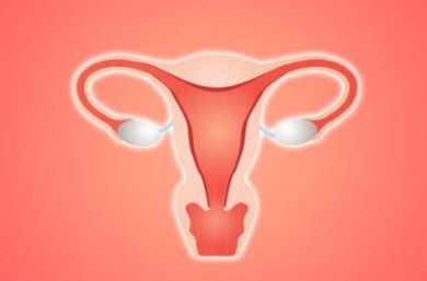 新的研究显示子宫内膜疾病可以在实验室培养皿中模仿