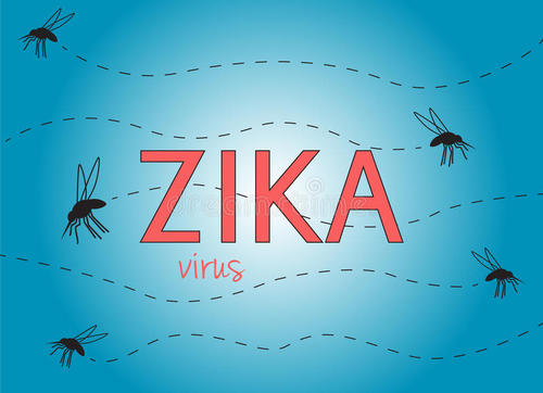 神经影像学对Zika病例至关重要