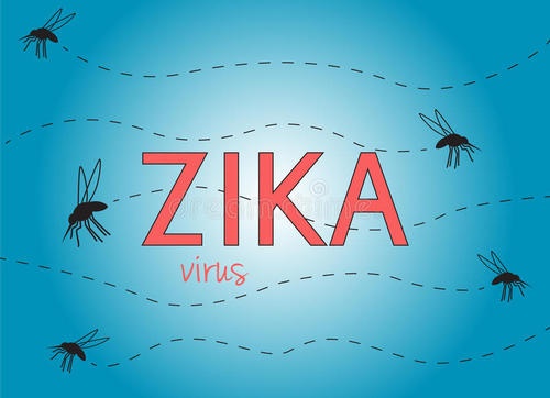 神经影像学对Zika病例至关重要
