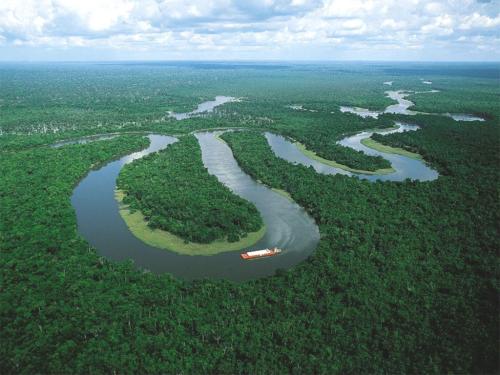 亚马逊雨林如何应对干旱