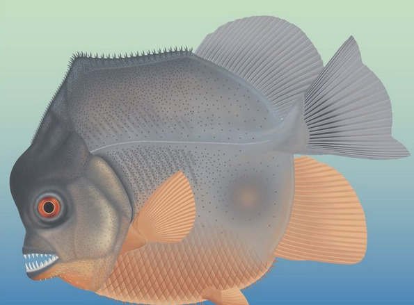 恐龙时代Super-Piranha恐吓侏罗纪