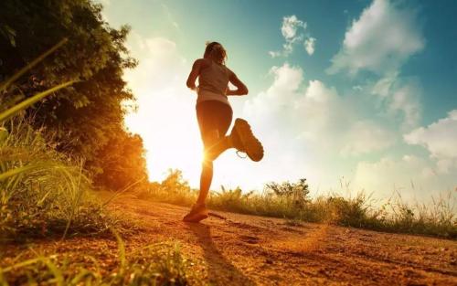 有氧运动计划可以提高耐力中风后走路