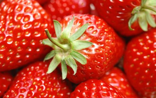 草莓具有污染的环境遗产和不确定的未来