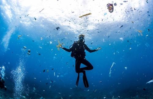2019年世界野生动物日 世界海洋面临的15大威胁