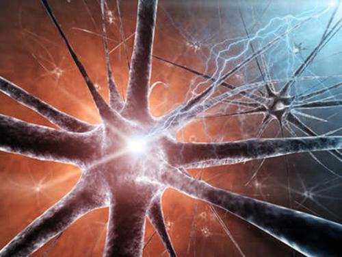 神经元基因功能障碍是与长QT综合征相关的癫痫发作背后的原因