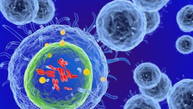 了解免疫细胞招募是STI疫苗开发的关键