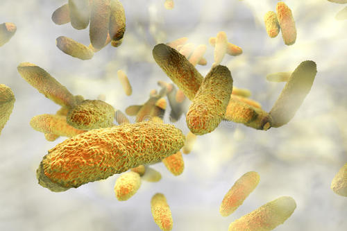 科学家们发现抗性细菌如何阻止抗生素的进入