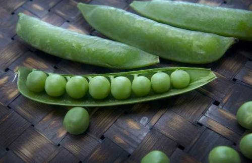 第一个豌豆基因组以帮助改善未来的作物