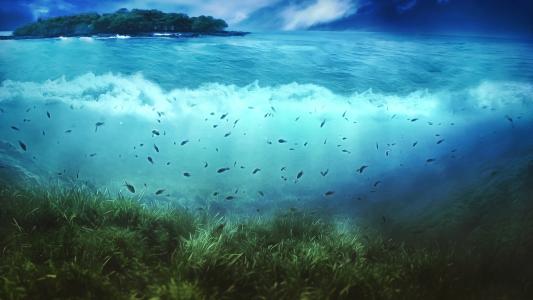 赤潮滚滚 在高CO2低环境中发现有害藻类繁盛