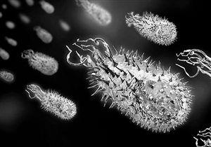 常见的口腔细菌如何使结肠癌更致命