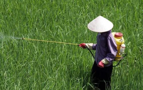 研究人员发现了人造化学农药的可持续和天然替代品