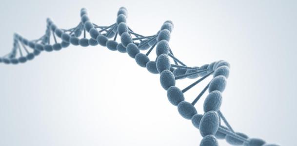 利用CRISPR的能力来控制DNA响应材料的行为
