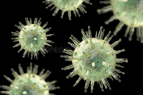 巴尔病毒感染中一种关键蛋白质的结构