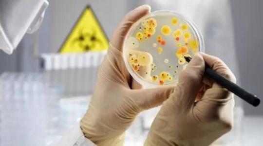 化学家发现了一类全新的微生物配方