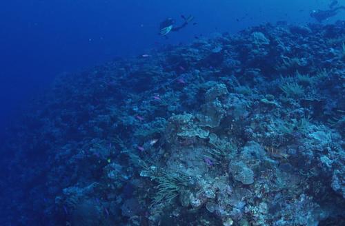 深海条件影响石油退化