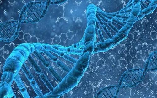 新的CRISPR类扩展了基因工程工具箱