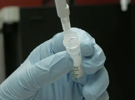 重建疫苗关键HIV抗体的捷径