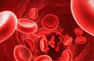 血液干细胞的挤压可以促进移植的收获