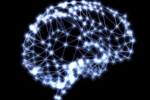 为什么科学家想要逐平面可视化神经网络