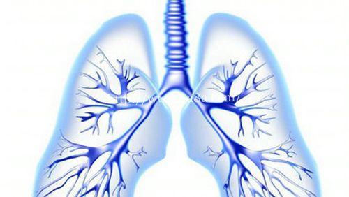 非侵入性成像技术有效识别肺部小气道疾病