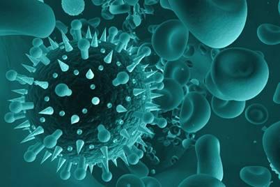 针对呼吸道合胞病毒的新疫苗引发强烈的免疫反应