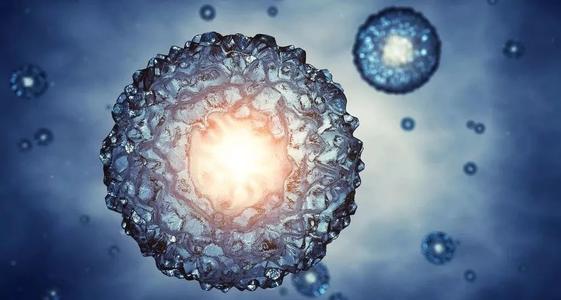 罕见的免疫细胞作为疾病潜望镜