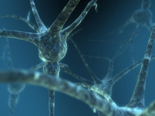 抑制性神经元如何影响大脑的振荡
