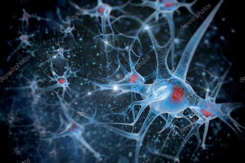 纳米线让研究人员记录来自神经元内部的信号