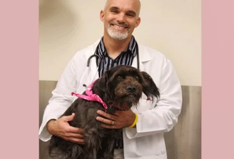 狗癌疫苗方法为人体试验打开了大门