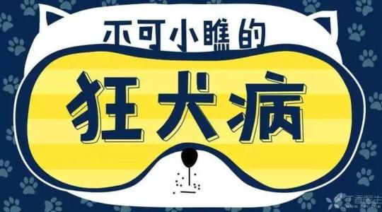 狂犬病警报下的海湾县