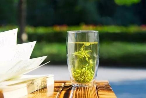 绿茶可能是降低抗生素耐药性的关键