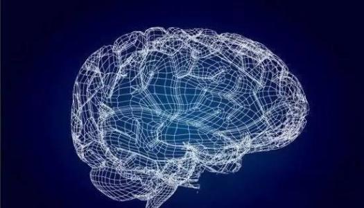 研究发现枢纽连接大脑中的运动和动机